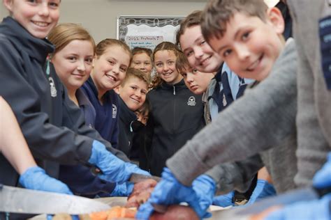 pnins|Team — Palmerston North Intermediate Normal School.